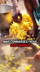 Comment est fabriquée la soie ?