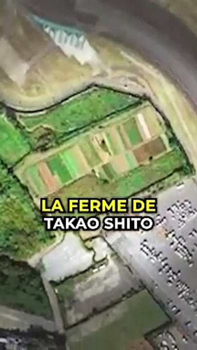 Il habite au milieu de l'aéroport 