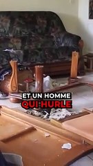 Il n'avait rien fait de mal 