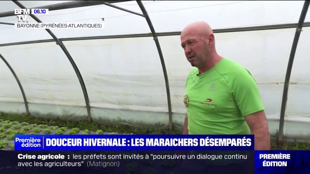 Pays basque: les maraîchers doivent s'adapter aux températures anormalement élevées