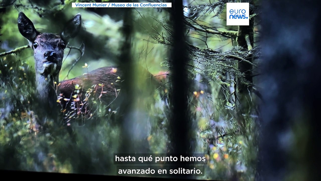 Una exposición fotográfica que pretende transmitir emociones extraordinarias