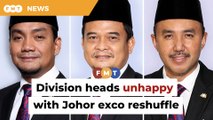 Umno division chiefs unhappy with reshuffled Johor lineup