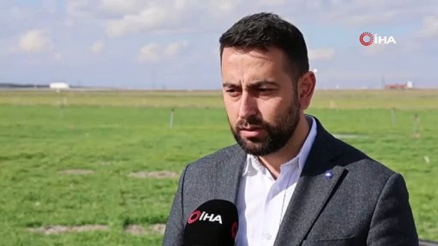 Tahıl ambarı Konya Ovası'nda yağışlar rekolte umutlarını artırdı
