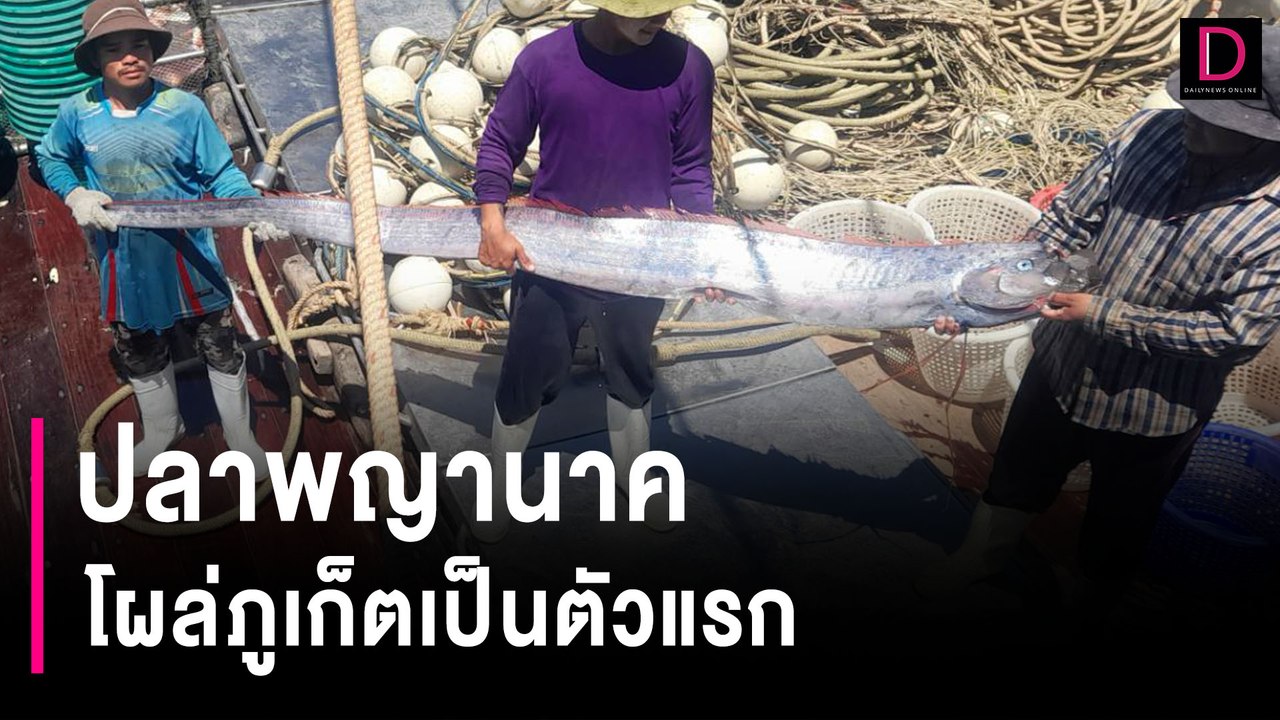 “ปลาพญานาค” โผล่ภูเก็ตเป็นตัวแรก ส่ง อพวช. นำไป...