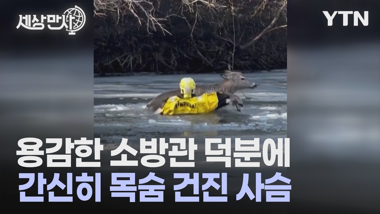 [세상만사] 사슴 구하려고 얼음물에 뛰어든 소방관 / YTN
