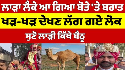 ਲਾੜਾ ਲੈਕੇ ਆ ਗਿਆ ਬੋਤੇ 'ਤੇ ਬਰਾਤ, ਖੜ-ਖੜ ਦੇਖਣ ਲੱਗ ਗਏ ਲੋਕ, ਸੁਣੋ ਲਾੜੀ ਕਿੱਥੇ ਬੈਠੂ |OneIndia Punjabi