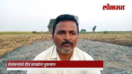शेतकऱ्यावर मुलाचं लग्न पुढं ढकल्याची वेळ. काय झालं पाहा.