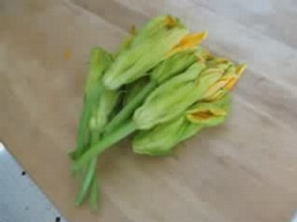 Zucchini Blossoms