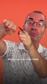 Patrick Bleuzen est entomologiste, il étudie les insectes. Pour neo, il présente ses insectes, explique leur comportement et nous dévoile quelques secrets de son métier.