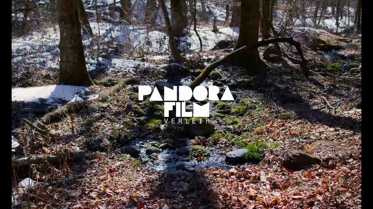 Evil does not exist film