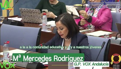 Mª Mercerdes Rodriguez. Comisión de Desarrollo Educativo y Formación Profesional. 15.02.2024