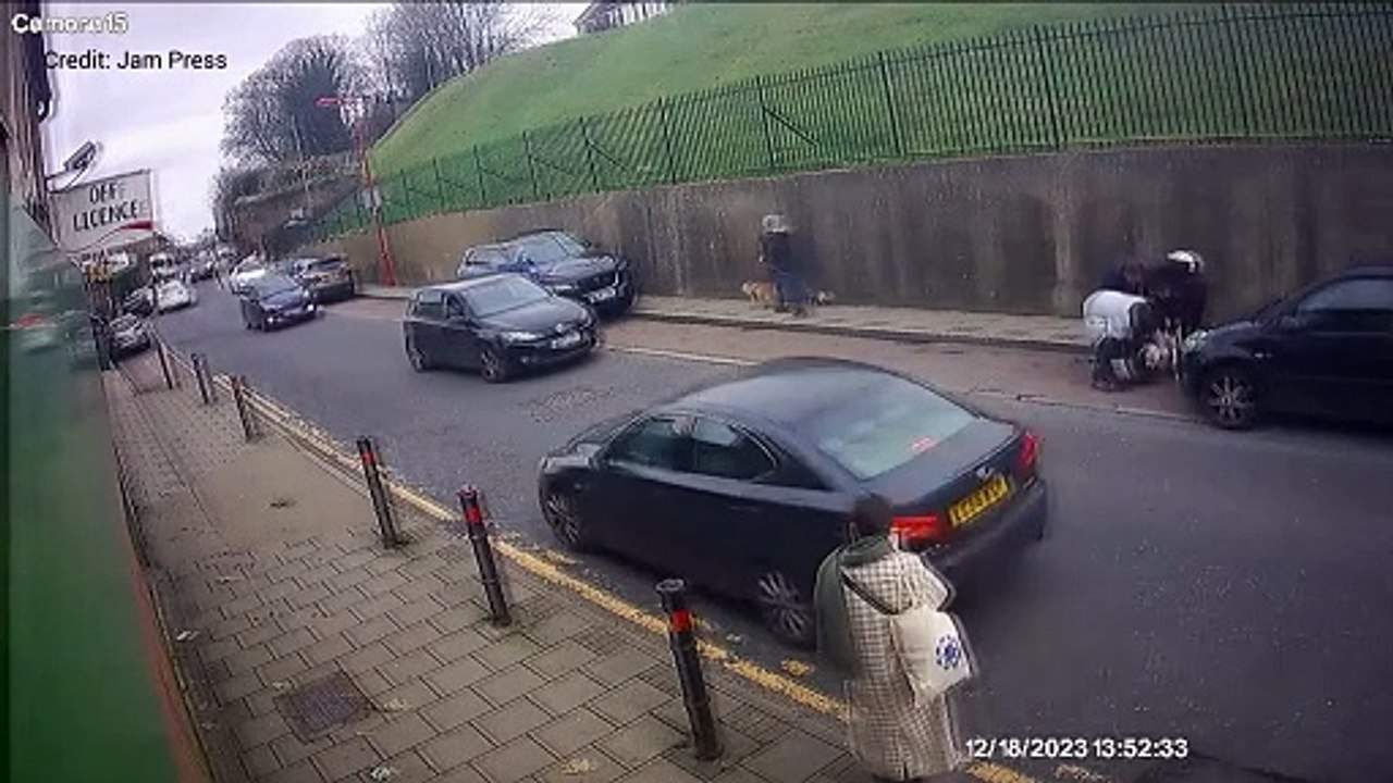 Dog attack in Rochester
