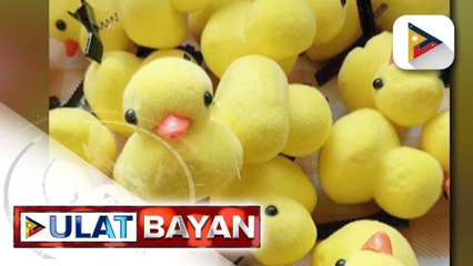 DepEd, bukas sa pagsusuot ng bibe hairclip sa eskwelahan