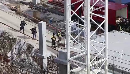 Firenze, l'arrivo delle unit? cinofile al cantiere dove ? avvenuto il crollo