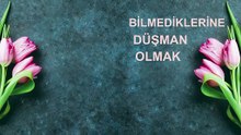 BİLMEDİKLERİNE DÜŞMAN OLMAK- CENGİZ TOPEL ONURCA