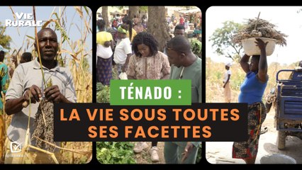 Vie Rurale : Ténado, la vie sous toutes ses facettes
