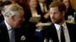 Prince Harry ‘grateful to spend time’ with King Charles after cancer diagnosis: ‘I love my family’