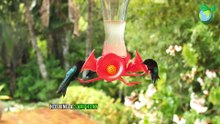 @ Balancing Act_ The Crucial Role of Ecological Harmony