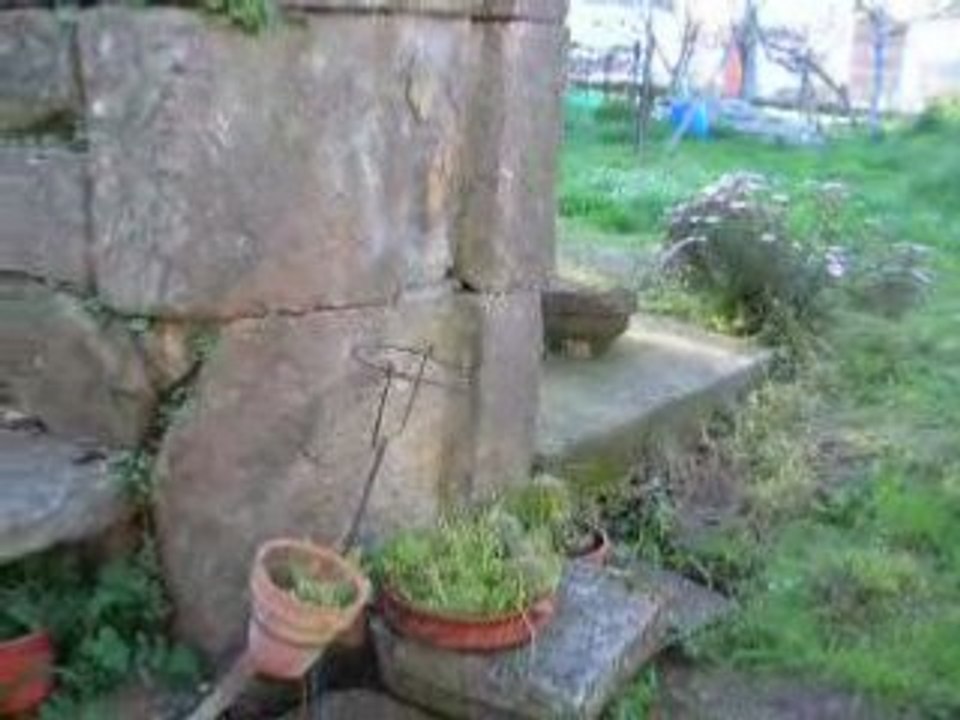 DSCN1848