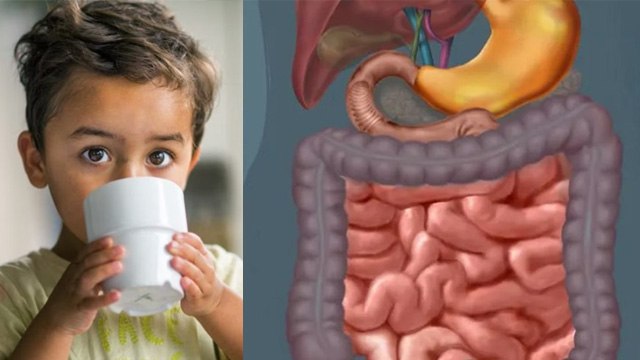 बच्चों को किस उम्र से चाय पीला सकते है क्या | Baccho Ko Kis Age Se Chai Pila Sakte Hai Kya |Boldsky