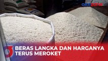 Bapanas Ungkap Penyebab Beras Langka dan Harganya Terus Meroket