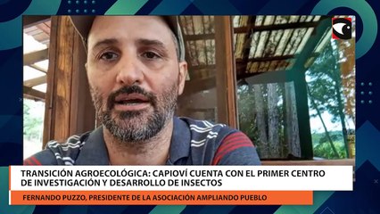 Transición Agroecológica Capioví cuenta con el primer centro de investigación y desarrollo de insectos