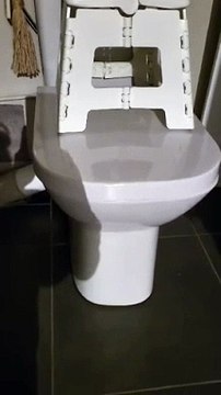 Elle découvre un rat dans ses toilettes