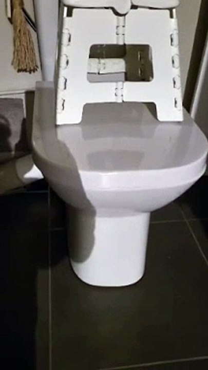 Elle découvre un rat dans ses toilettes