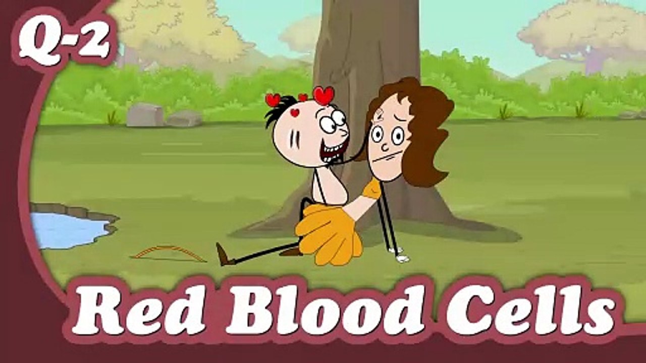 Red Blood Cells - Why what is the Rich King of Human Poor #aumsum #kids #science #eduction #learn