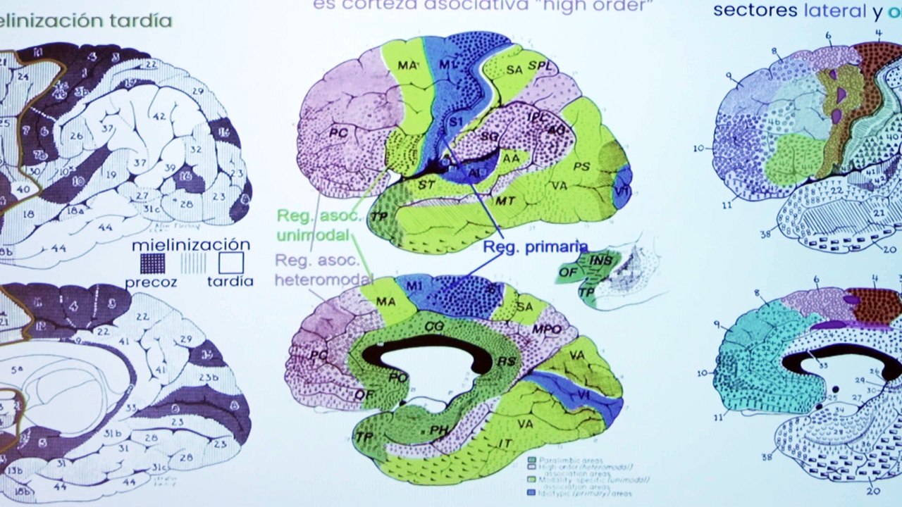 Los expertos insisten en el tratamiento precoz de las crisis epilépticas y síndromes raros