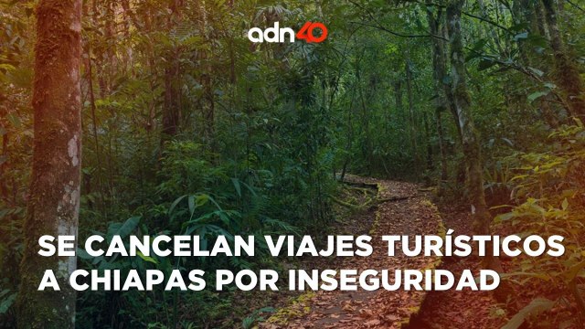 Los criminales ya operan en zonas turísticas de Chiapas I Todo Personal