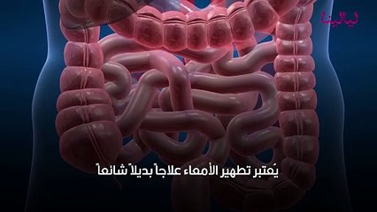 تنظيف القولون