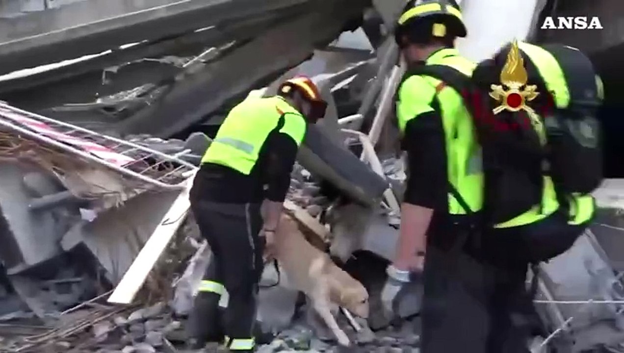 Crollo cantiere Firenze, Vigili del Fuoco: 'Stiamo cercando i dispersi"