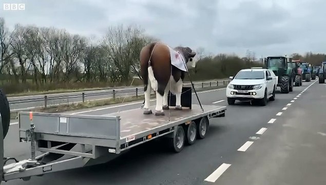Farmers stage tractor protest on busy dual carriageway