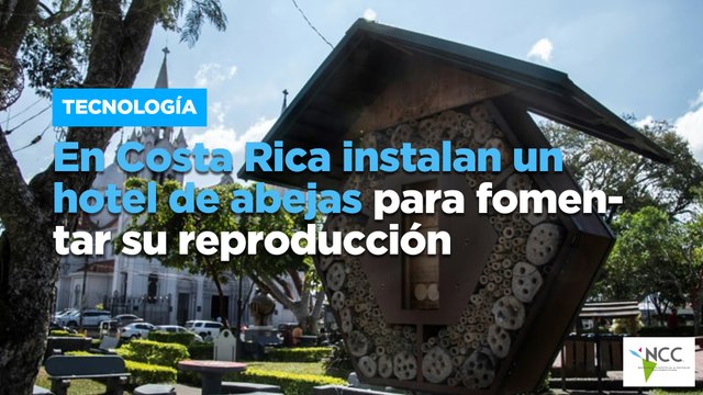 En Costa Rica instalan un hotel de abejas para fomentar su reproducción