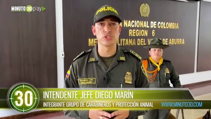 En una casa en Bello se comercializaba fauna silvestre incautaron cinco boas constrictor y otros animales