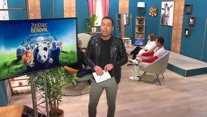 Local Génial - 16/02/2024 - Des vacances d’hiver dans les bouquins