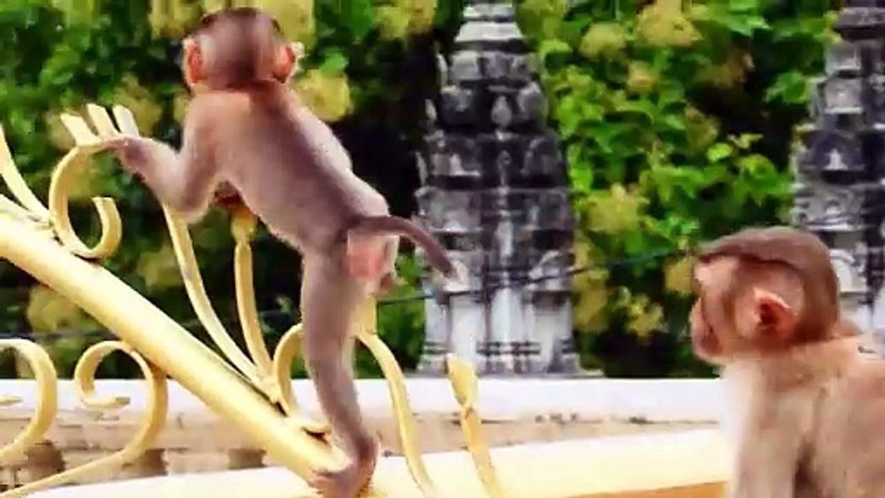 Smart Little SARO Looking For Mommy Sarika, Because He Is Lonely (720p_25fps_H264-192kbit_AAC)