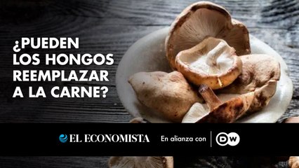¿Pueden los hongos reemplazar a la carne?