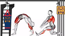 The Best Exercises Stretches for Running - Running Stretches Workout