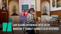 ¿Hay alguna diferencia entre decir 'maricón' y 'zorra'? Carmen Calvo responde