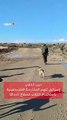 حرب الكلاب ... إسرائيل تتهم المقاومة الفلسطينية باستخدام الكلاب كسلاح ضدها