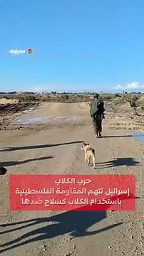 حرب الكلاب ... إسرائيل تتهم المقاومة الفلسطينية باستخدام الكلاب كسلاح ضدها