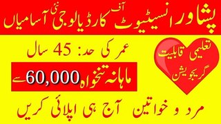 Peshawar Institute Of Cardiology Jobs 2024 || Latest Government Jobs Update