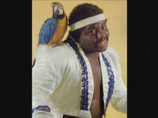 Koko B Ware theme
