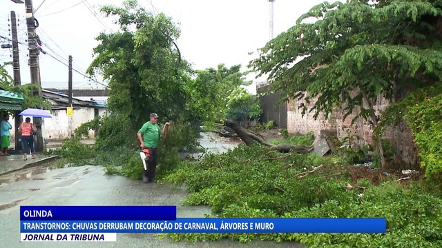 Transtornos: chuvas derrubam decoração de carnaval, árvores e muro