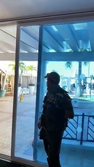 Falconer Clears Out Pigeons With His Hawk