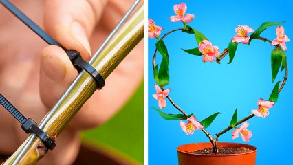 Eco-Friendly Home Hacks: Easy Planting Ideas for a Greener Space 🌱