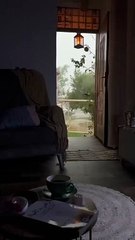 Autumn Winds