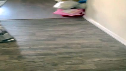 Dog Chews Bone From Fridge Top